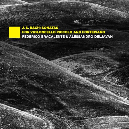 Bach: Sonatas For Viol...