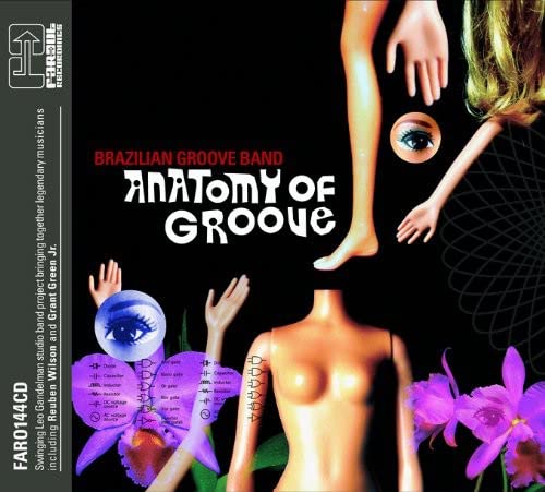 Anatomy Of Groove