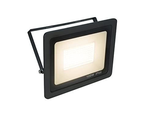 Eurolite Led Ip Fl-100 Smd Ww | Faro Piatto Per Esterni (Ip66) Con Led Smd Bianchi
