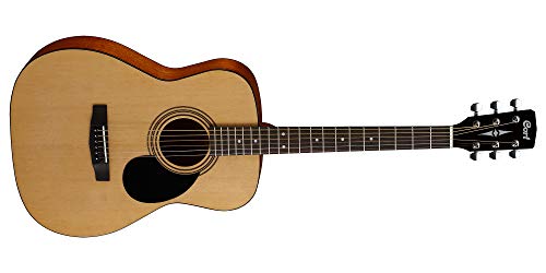 Chitarra Acustica