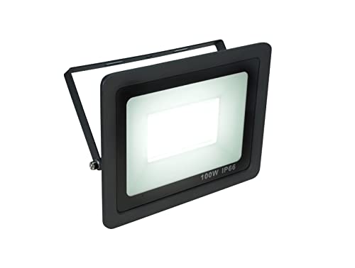 Eurolite Led Ip Fl-100 Smd Cw | Faro Piatto Per Esterni (Ip66) Con Led Smd Bianchi
