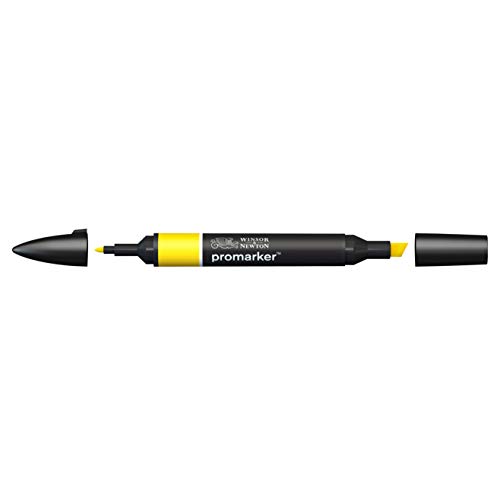 Winsor & Newton 0203166 - Pennarello A Doppia Punta , Arancione (Canary), 3.5X19.5X1.4 Cm