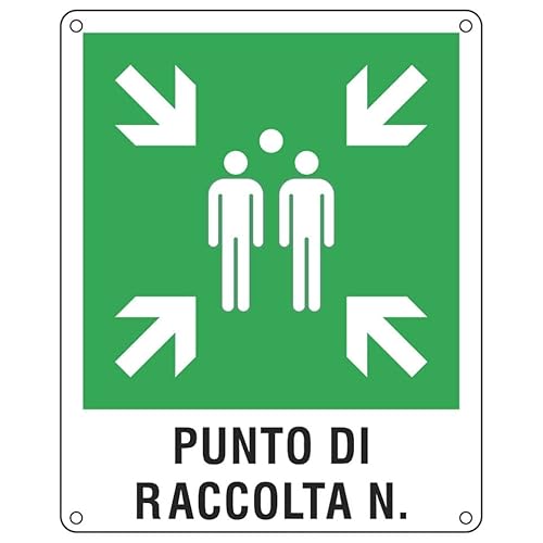 Cartello D'Emergenza 40X50 Cm Cartelli Segnalatori"Punto Di Raccolta"