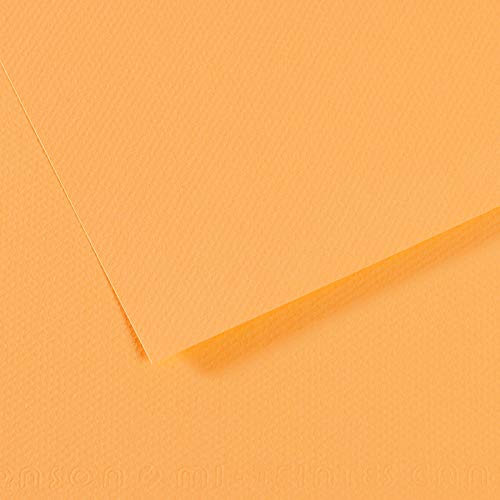 Foglia 50 X 65 (25) Canson Mi-Teintes 60% Ape 160 G (470)