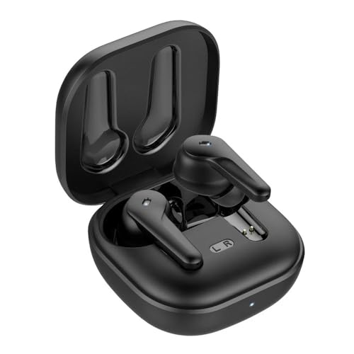 Fontastic 263569 Auricolari Wireless Bt V5.3 Con Custodia Di Ricarica 2 In 1 Nero Nero