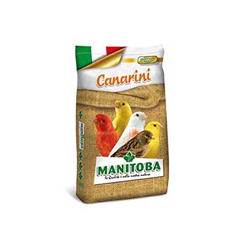 Miscuglio Canarini T1 Manitoba 20Kg