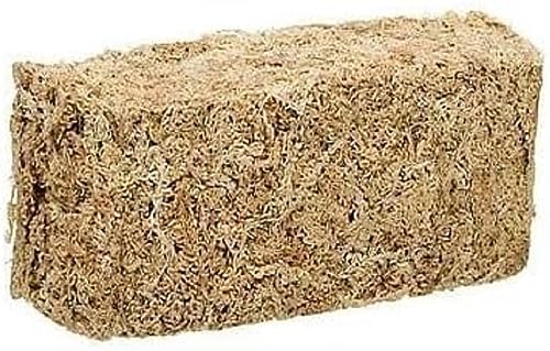 Zoo Med New Zelanda Sphagnum Moss - Substrato Naturale Per Terrario Per Tartarughe Di Terra E Rettili, Muschio Di Sfagno, 150 Gr