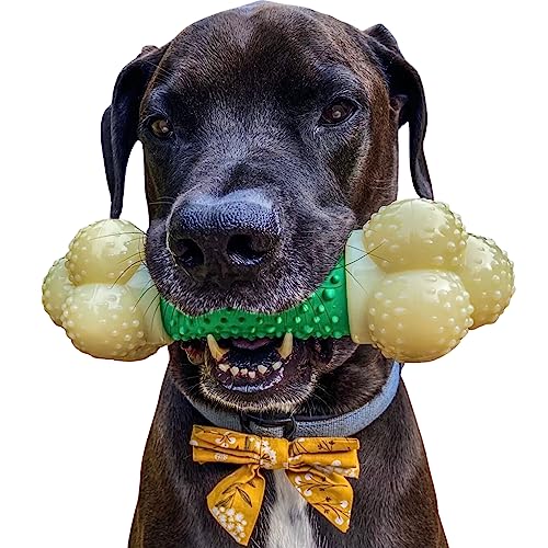 Nylabone Osso Masticabile Doppia Azione Extreme Double Action Chew Bone | Giocattolo Masticabile Per L'Igiene Dentale Dei Cani | Gusto Bacon | Extra L