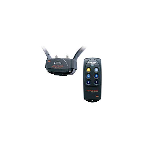 Canicom First 200 (Dressage) Nero Numaxes