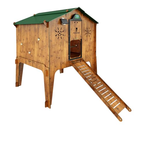 Pollaio Rialzato Per 8/10 Galline + Mangiatoia + Porta Automatica Polly Duplex L Made In Italy