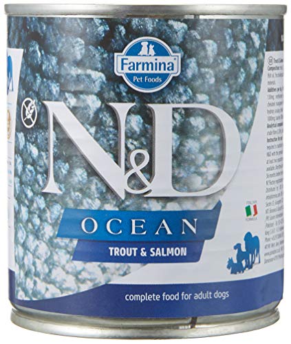 N&D Dog Ocean Trout & Salmon