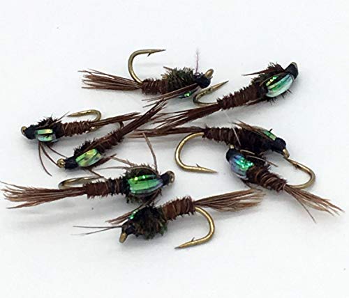 Bestcity Tackle Mosche Da Pesca Pheasant Tail, Set Di 8 Mosche Da Pesca, Misure 10-14