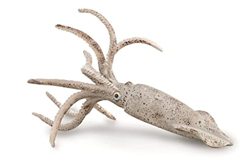 Collecta Belemnite Figurine Giocattolo Da Collezione