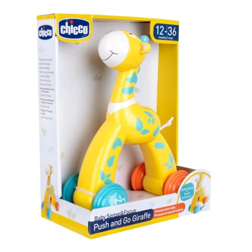 Chicco - Giocattoli, Multicolore (Artsana Spa 2)