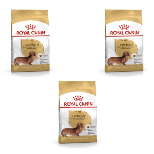 Royal Canin Dachshund Adult | Confezione Tripla | 3 X 500 G | Alimento Completo Per Cani | Appositamente Formulato Per Dachshund Adulti | Può Aiutare 