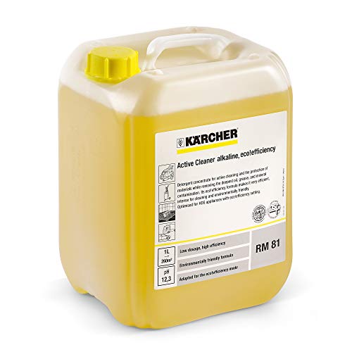 Detergente Attivo Rm 81 Asf Alcalino 10 Lt