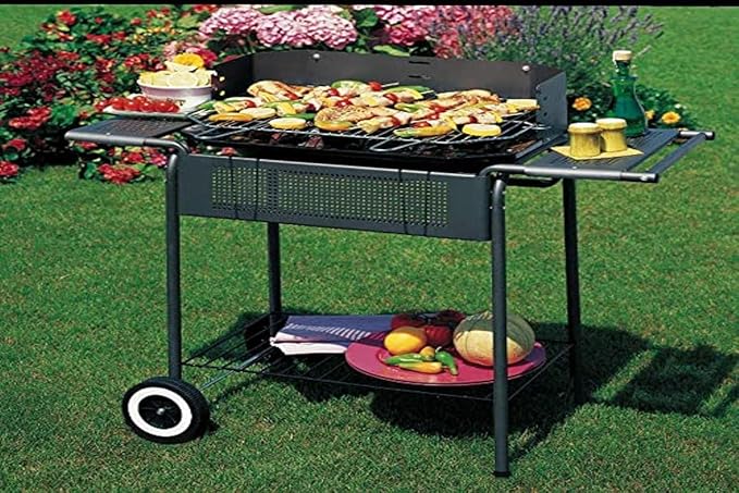 Barbecue port camargue b1072142