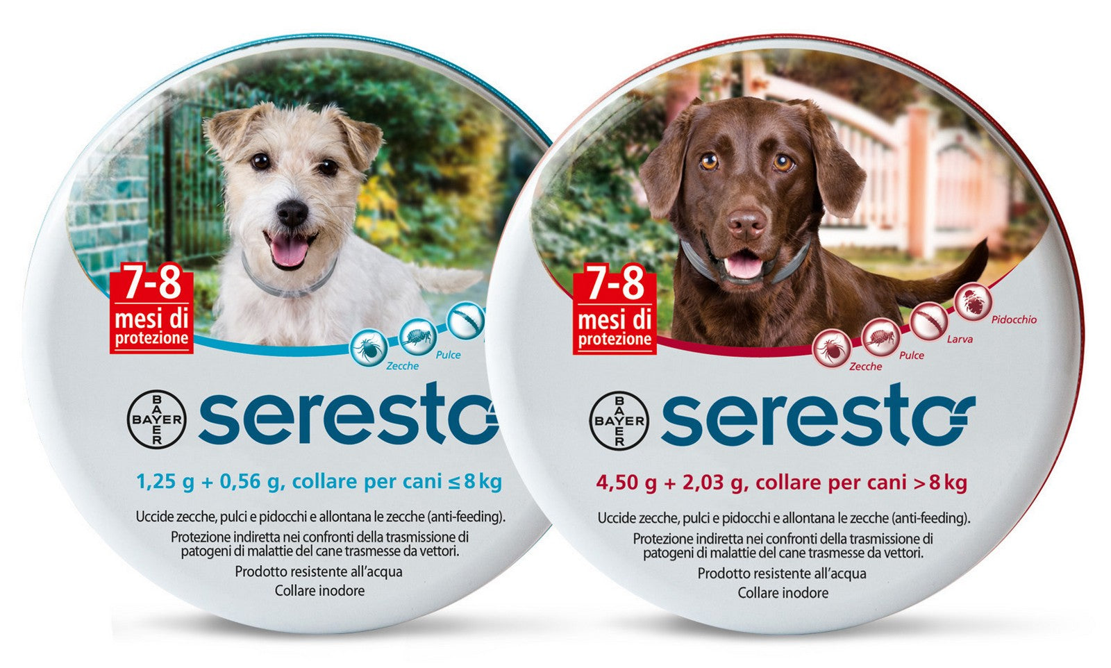 Bayer collare cane seresto oltre 8 kg cod nxt 8555