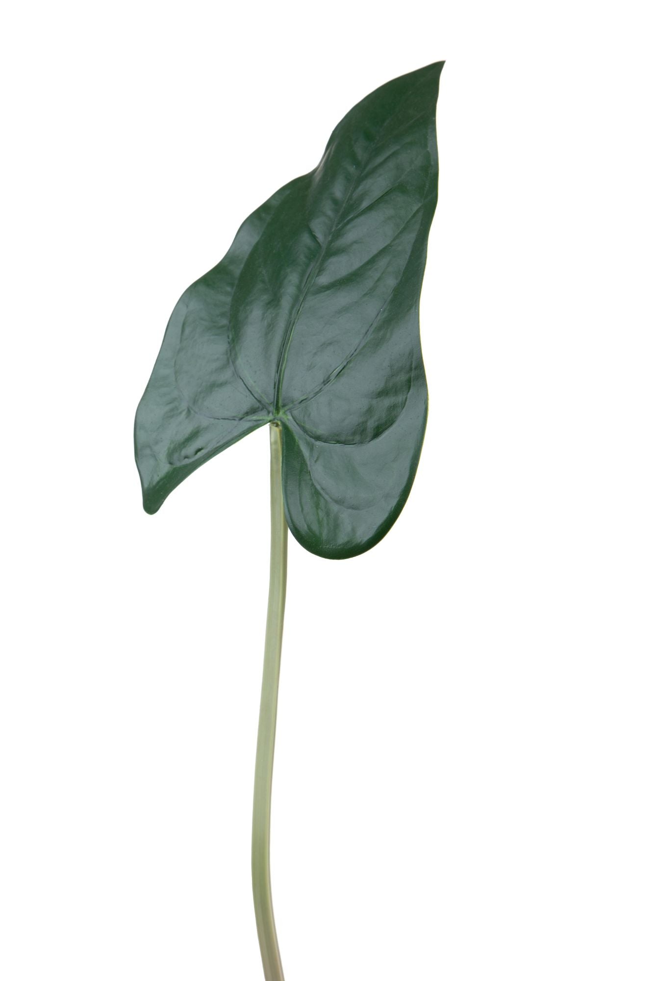Set 12 foglia artificiali anthurium 55 cm