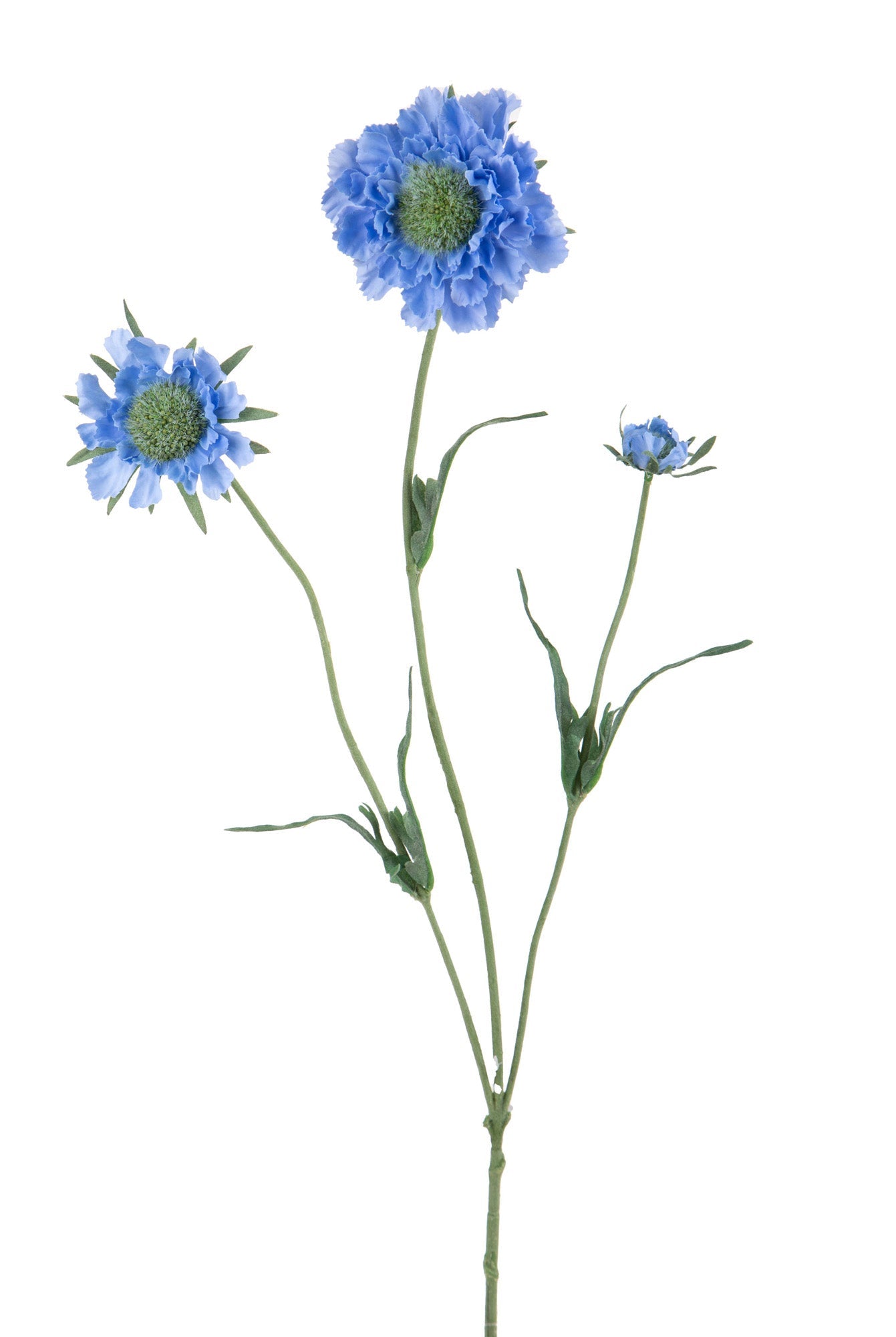 Set 6 rami artificiali fiore di scabiosa con 3 diramazioni h 64 cm