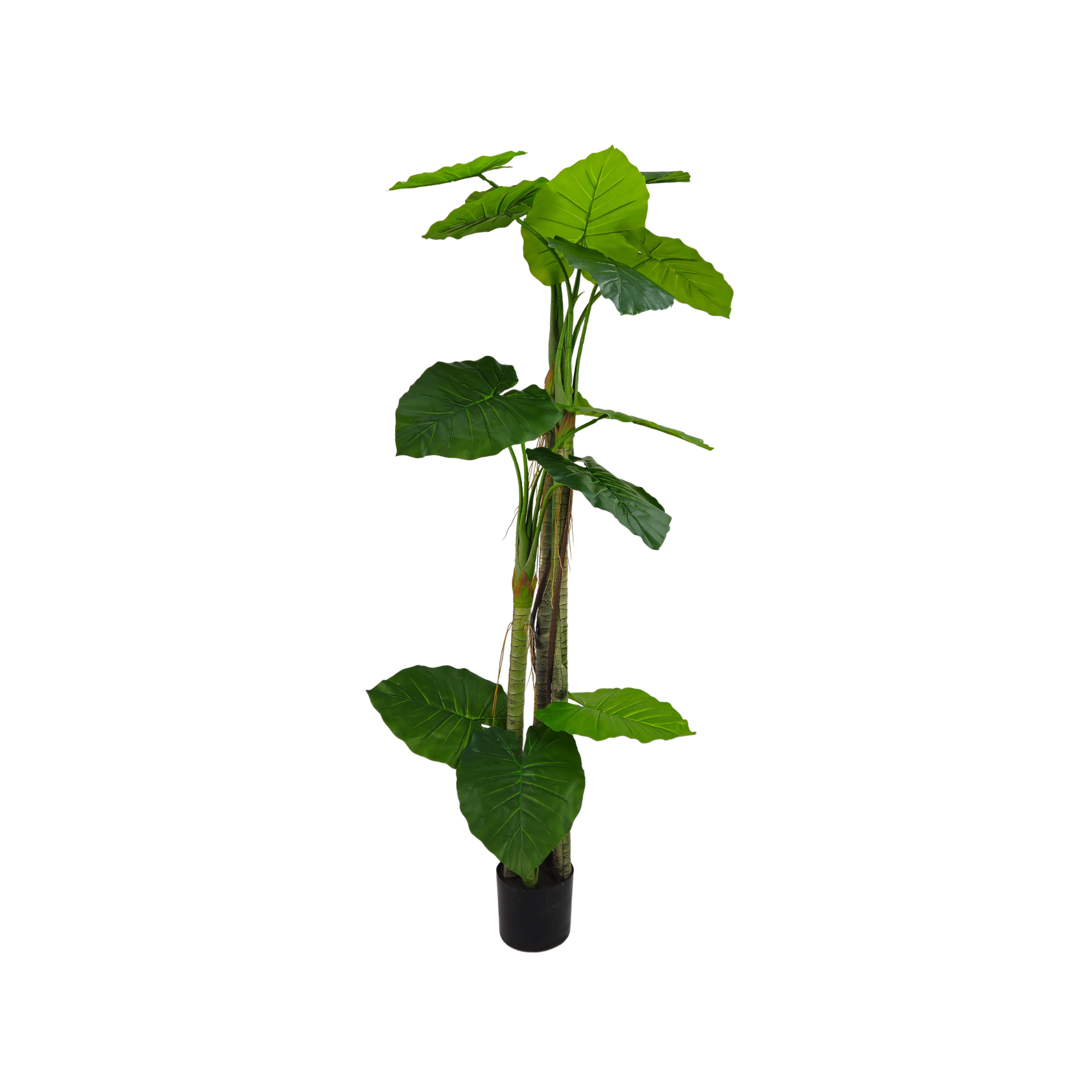 Pianta artificiale colocasia 170 cm per interno ed esterno