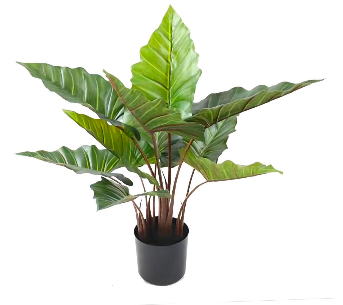 Pianta artificiale colocasia h55 cm con vaso verde