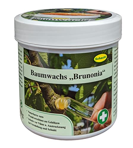Schacht 1 Baum 250 Baumwachs "Brunonia" 250G Di Latta