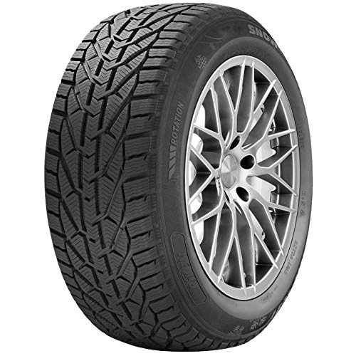 225/50 R17 Snow 94H Riken