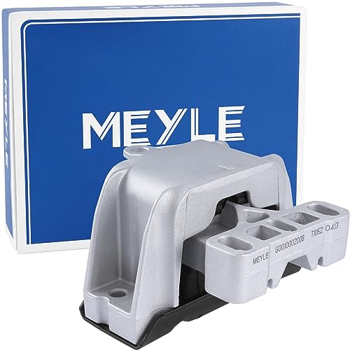Meyle 100 199 0069 Sospensione, Motore