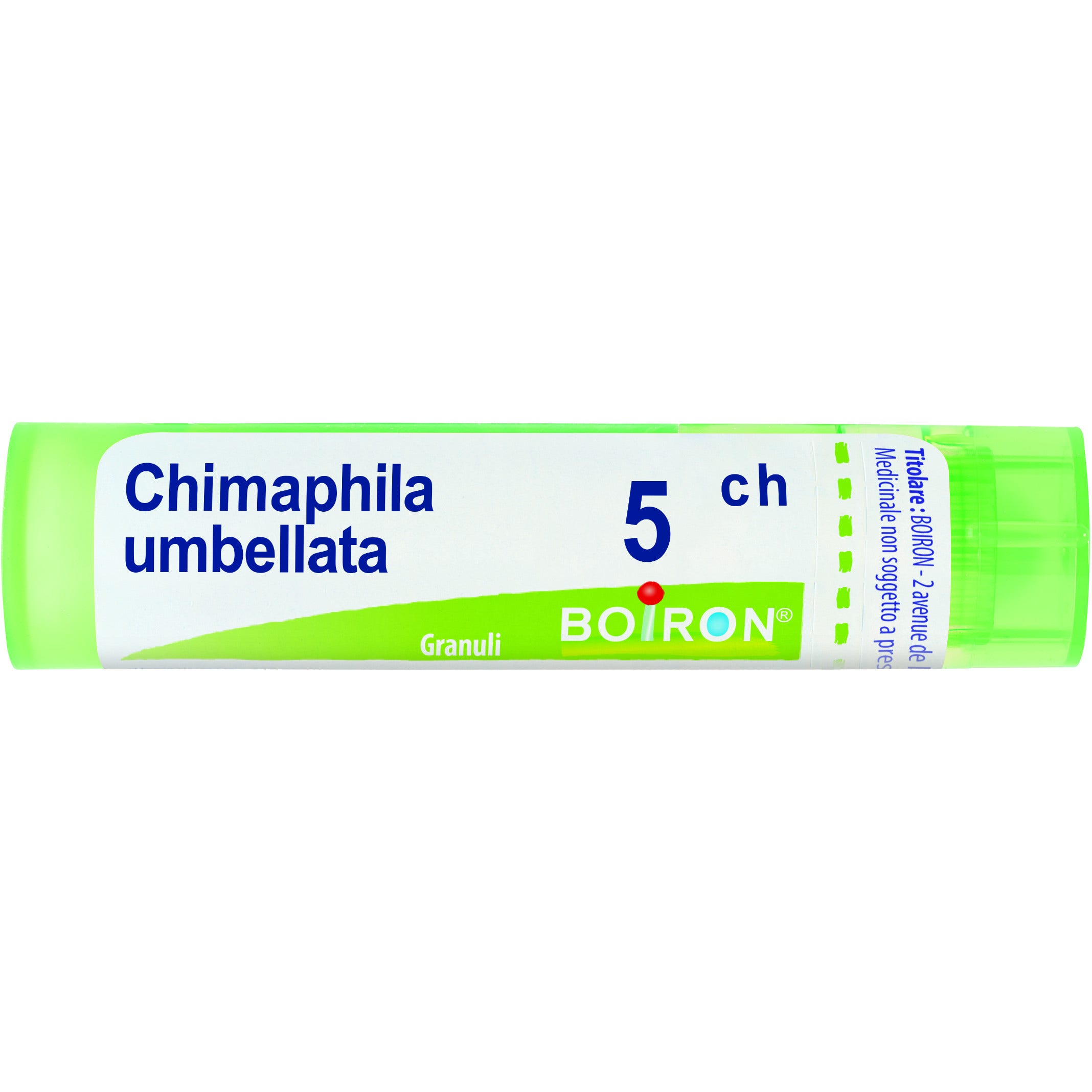 Boiron Chimaphila Umbellata Granuli 05Ch Tubo 4g