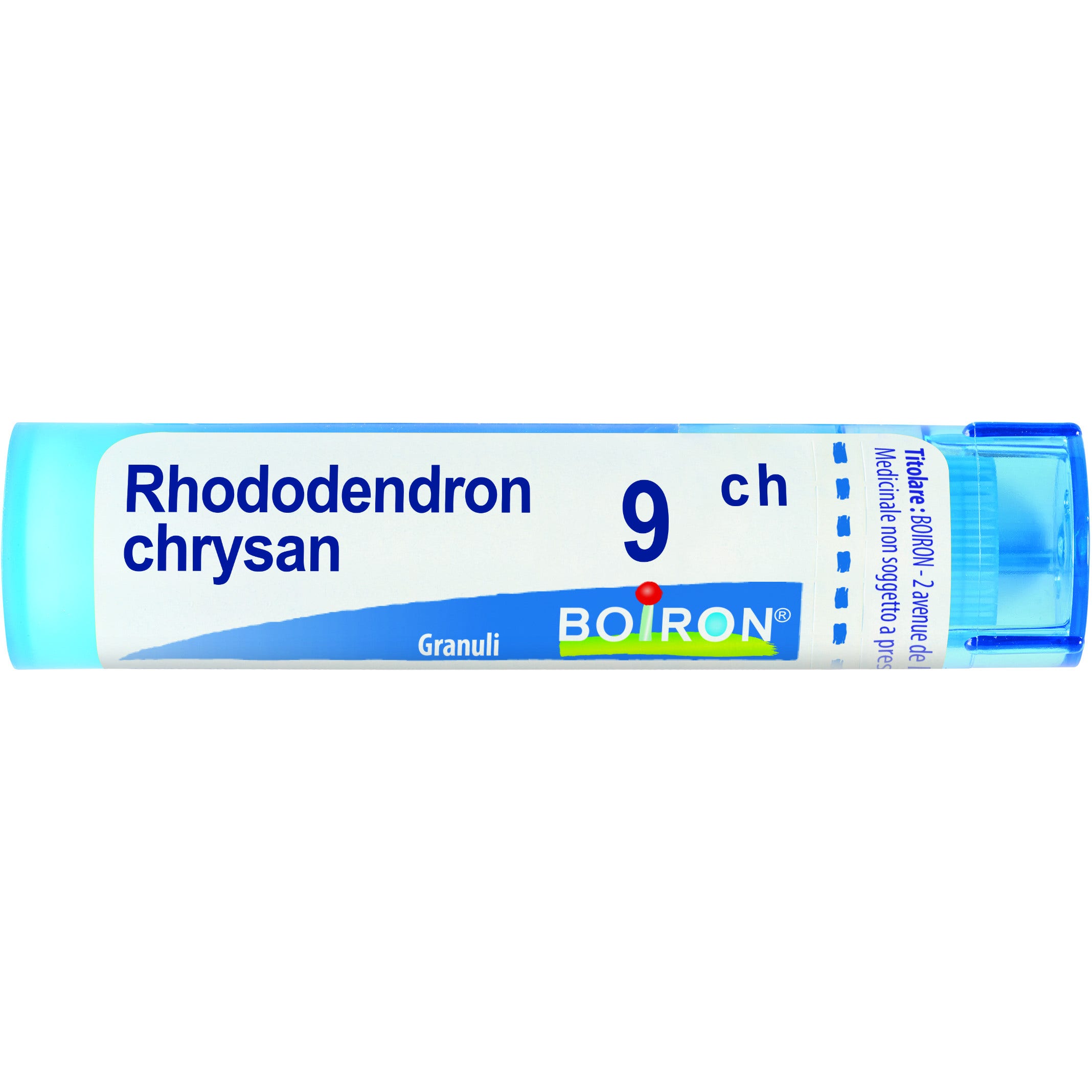 Boiron Rhododendron Chrysan Granuli 09Ch Tubo 4g