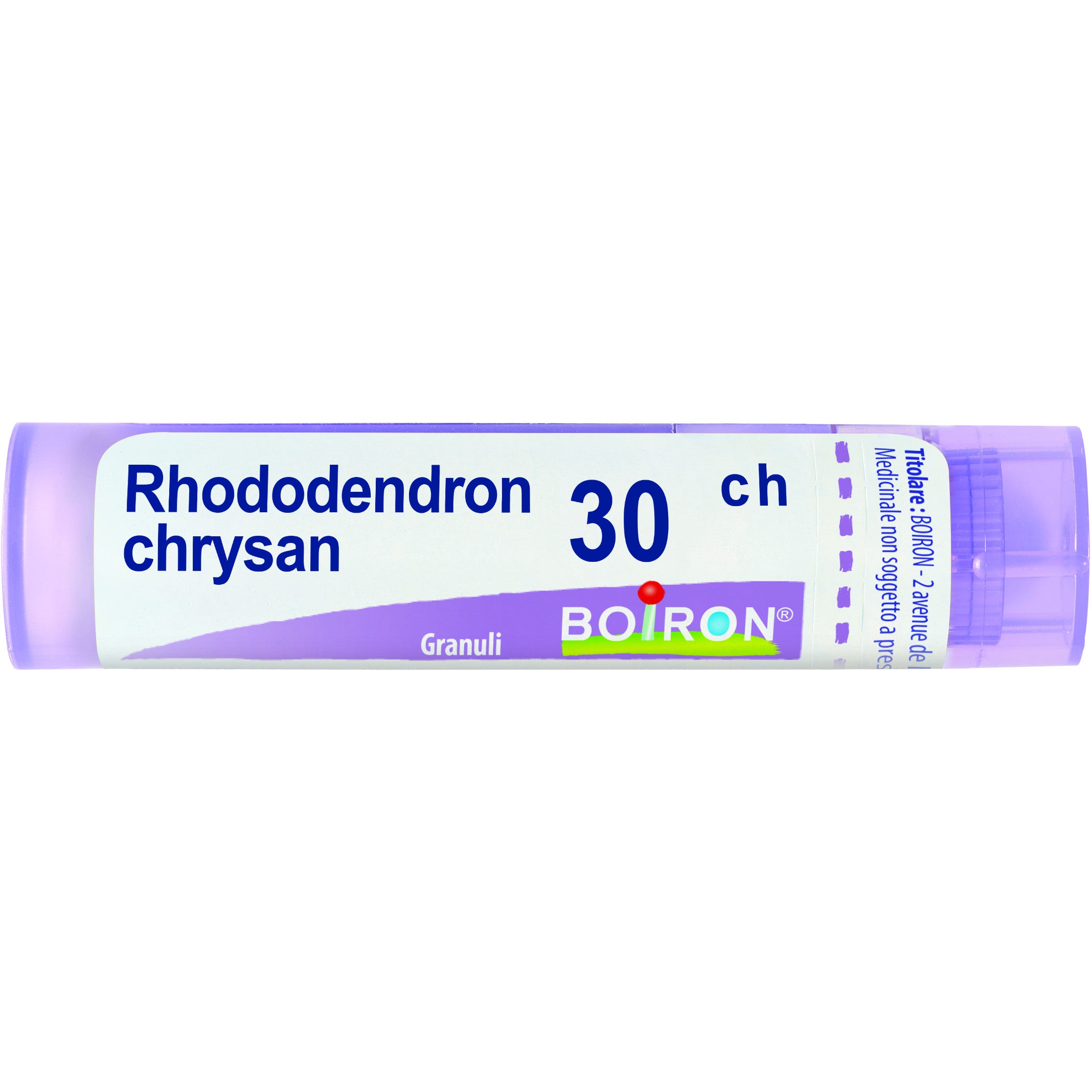 Boiron Rhododendron Chrysan Granuli 30Ch Tubo 4g
