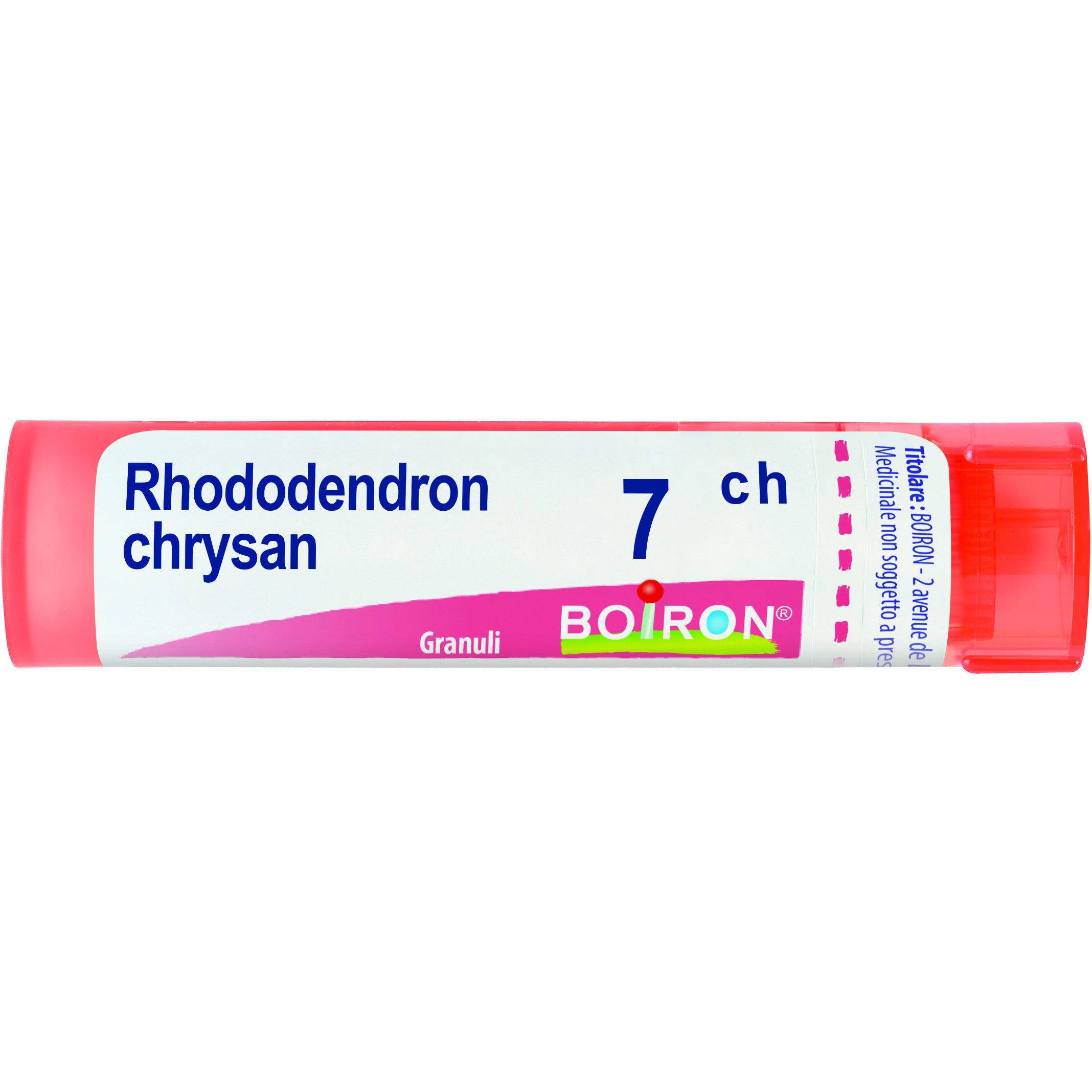 Boiron Rhododendron Chrysan Granuli 07Ch Tubo 4g