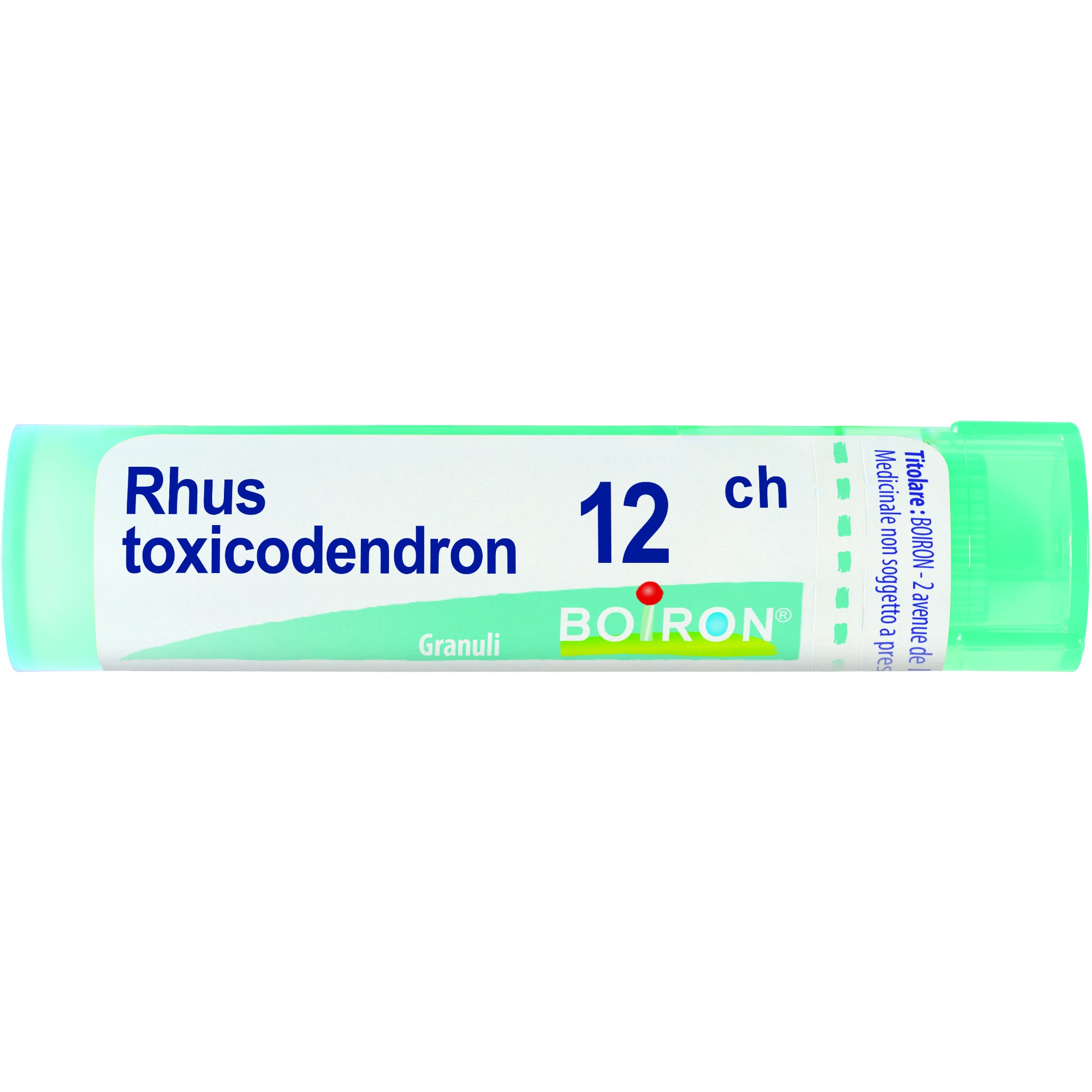 Boiron Rhus Toxicodendron 12Ch Tubo 80 Granuli 4g