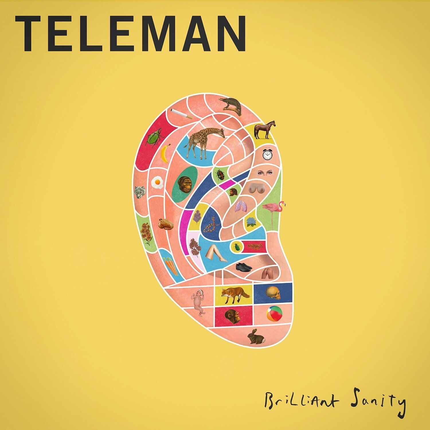 Teleman Brilliant Sanity CD NEW