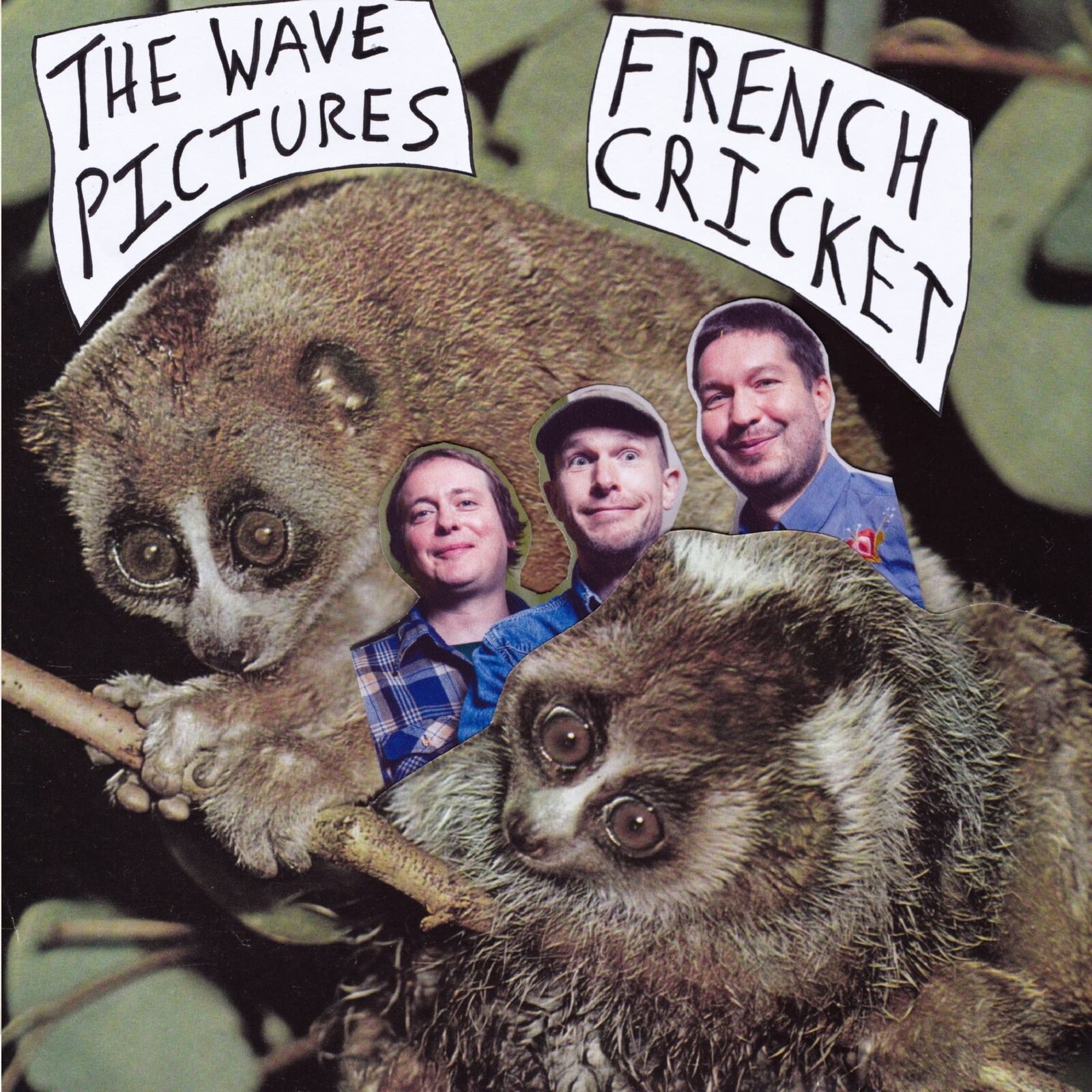Wave Pictures French Cricket Double 7 Inch Vinyl NOIS090 NEW