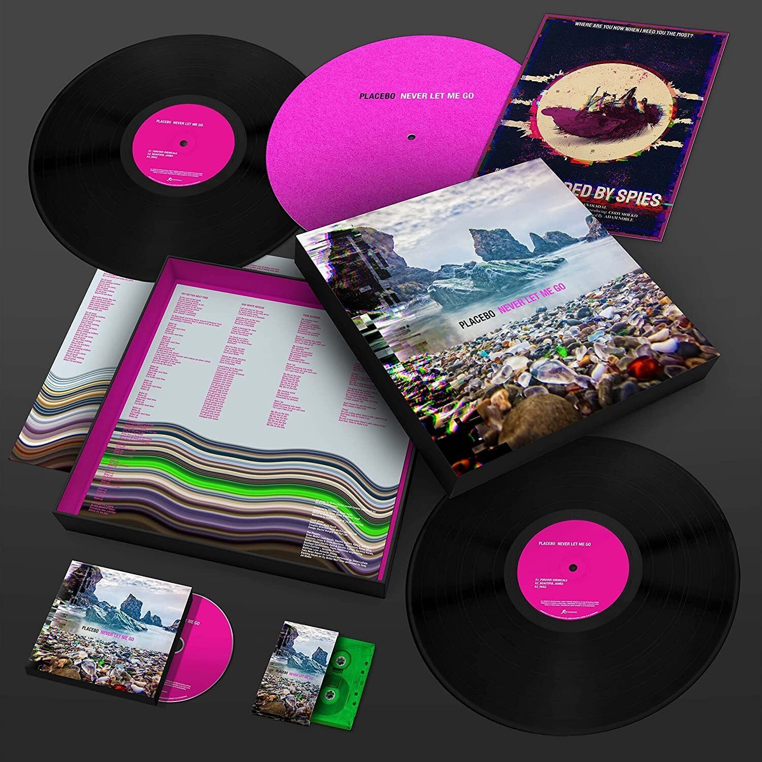 Placebo Never Let Me Go (Ltd. Premium Box Set) (Vinyl LP)