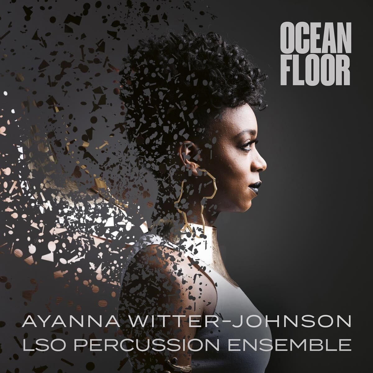 Ayanna Witter-Johnson Ayanna Witter-Johnson: Ocean Floor (CD) Album