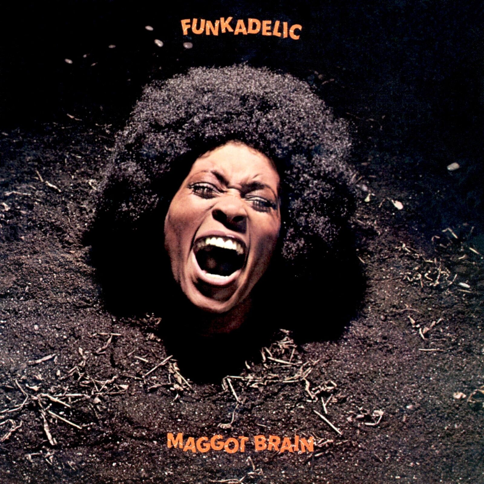 Funkadelic Maggot Brain (Vinyl LP) 12" Album