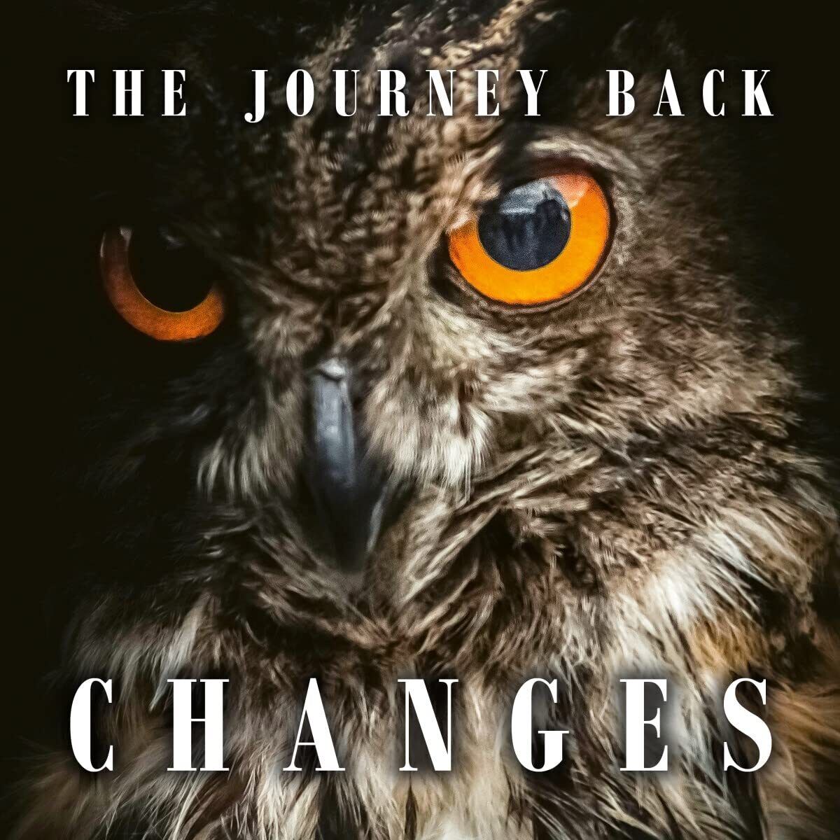 Journey Back,the Changes (CD)