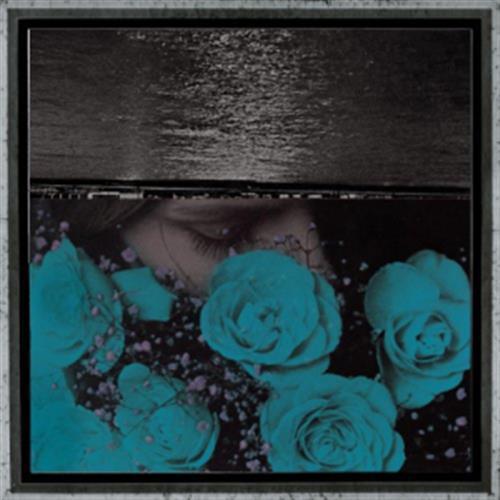 At The Down Turned Jagged Rim - Jessica Bailiff (Vinile)