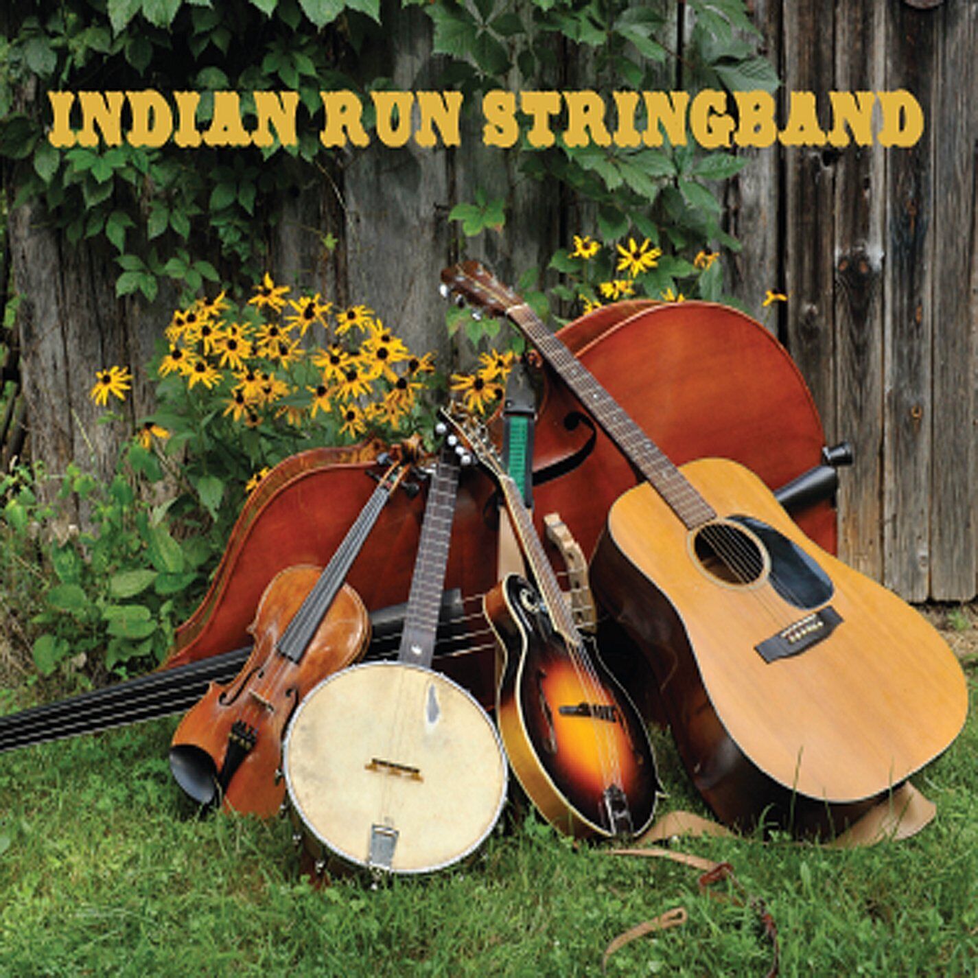 Indian Run Stringband Indian Run Stringband (CD)
