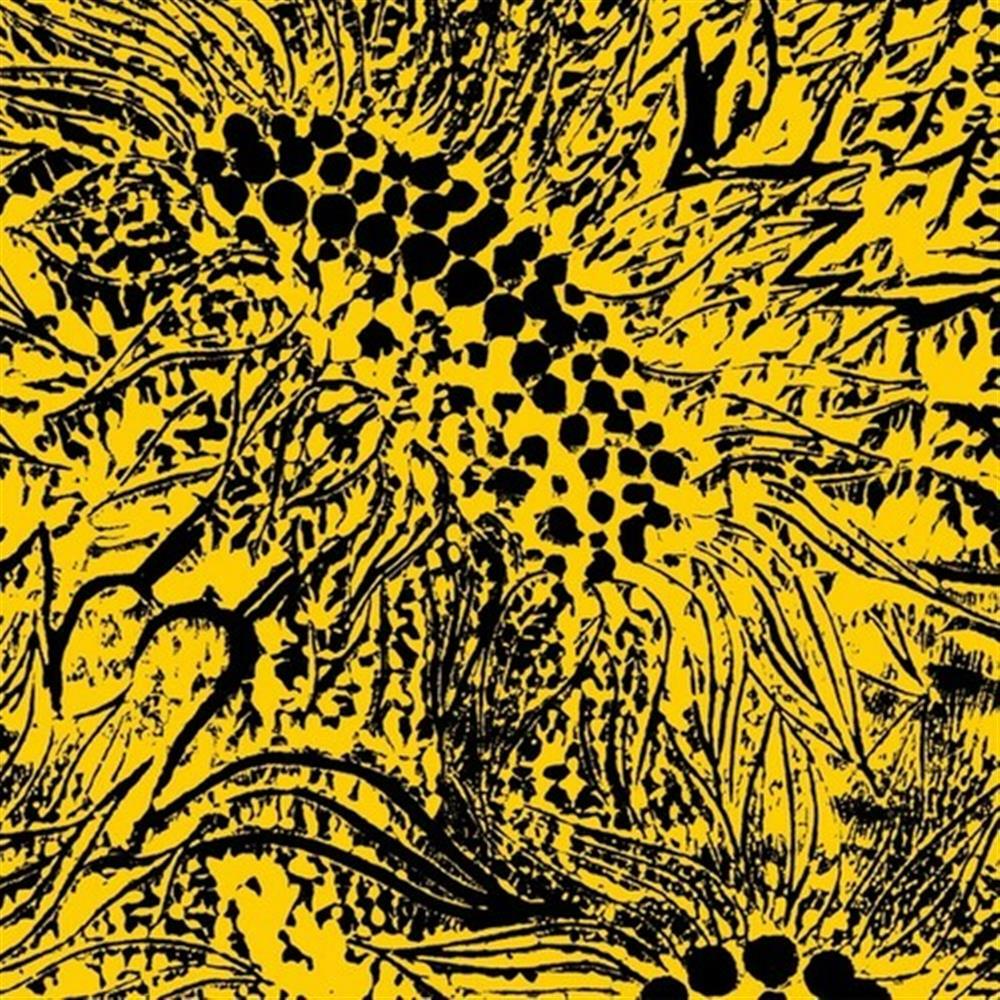 Little Sunflower - Amanda Whiting (Vinile)