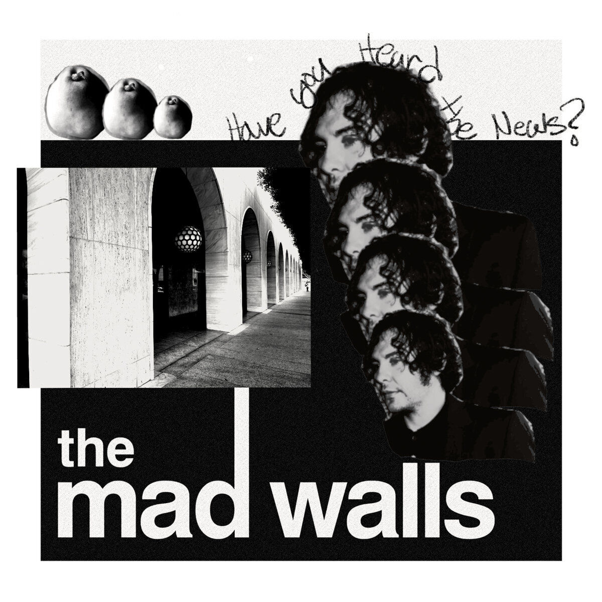 The Mad Walls Have You Heard the News? (Vinyl LP) 12" Album