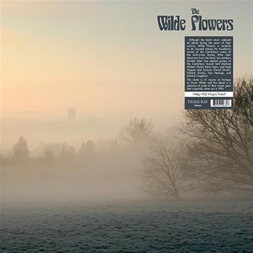 Wilde Flowers - Wilde Flowers (Vinile)