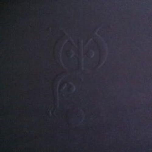 Owls Night Stays (Vinyl LP)