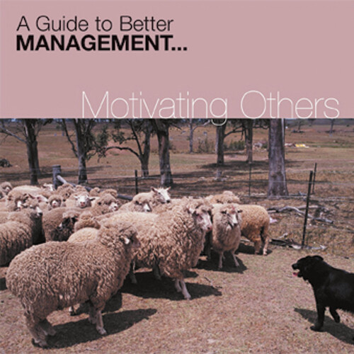 Various Artists Motivating Others: A Guide to Better Management (CD) Album