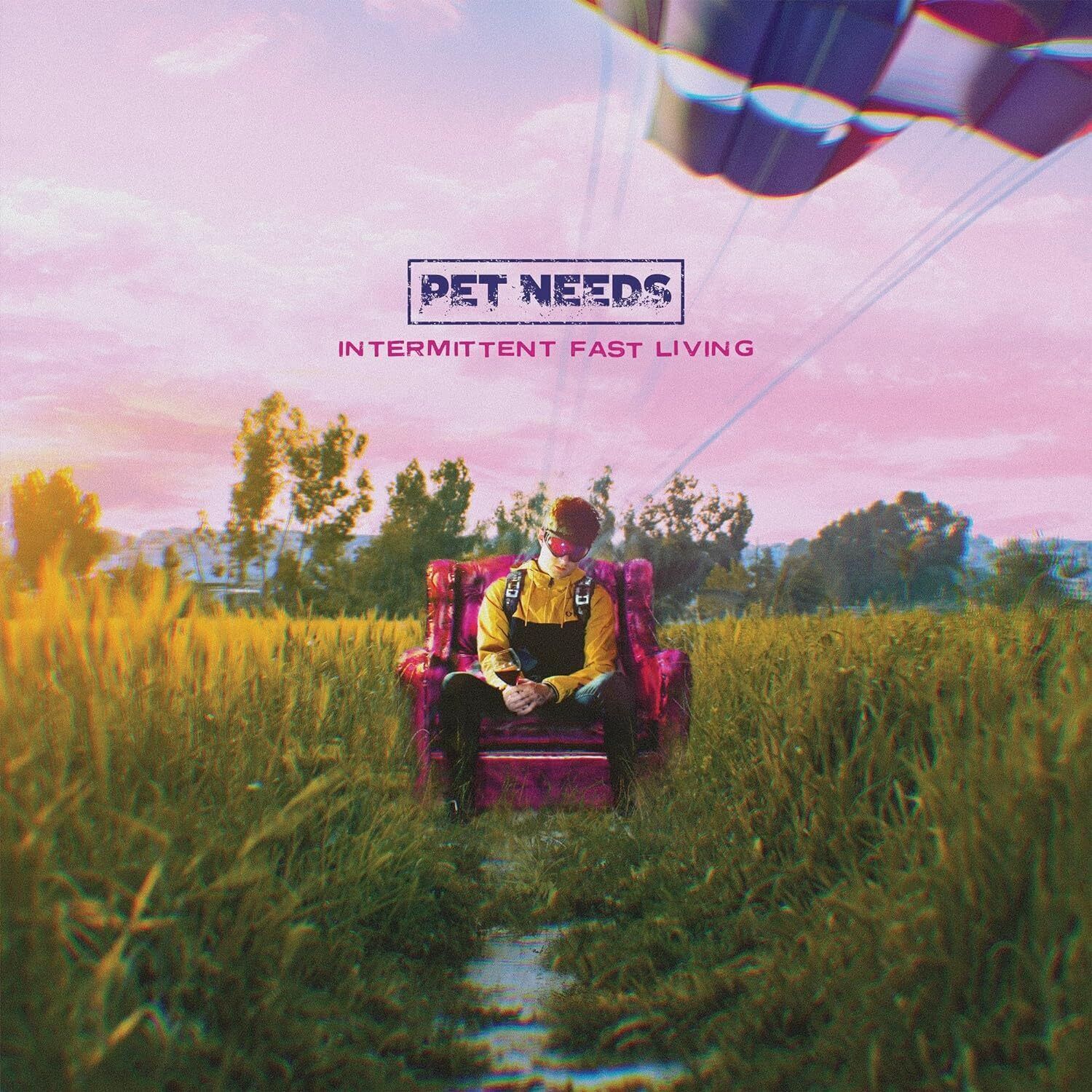 Pet Needs Intermittent Fast Living (Vinyl LP) 12" Album
