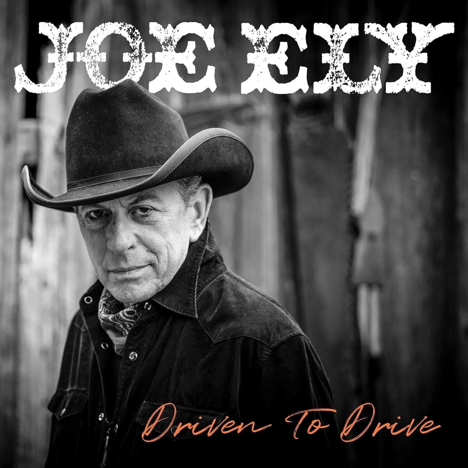 Joe Ely Driven to Drive (Vinyl LP) 12" Album Coloured Vinyl (Limited Edition)
