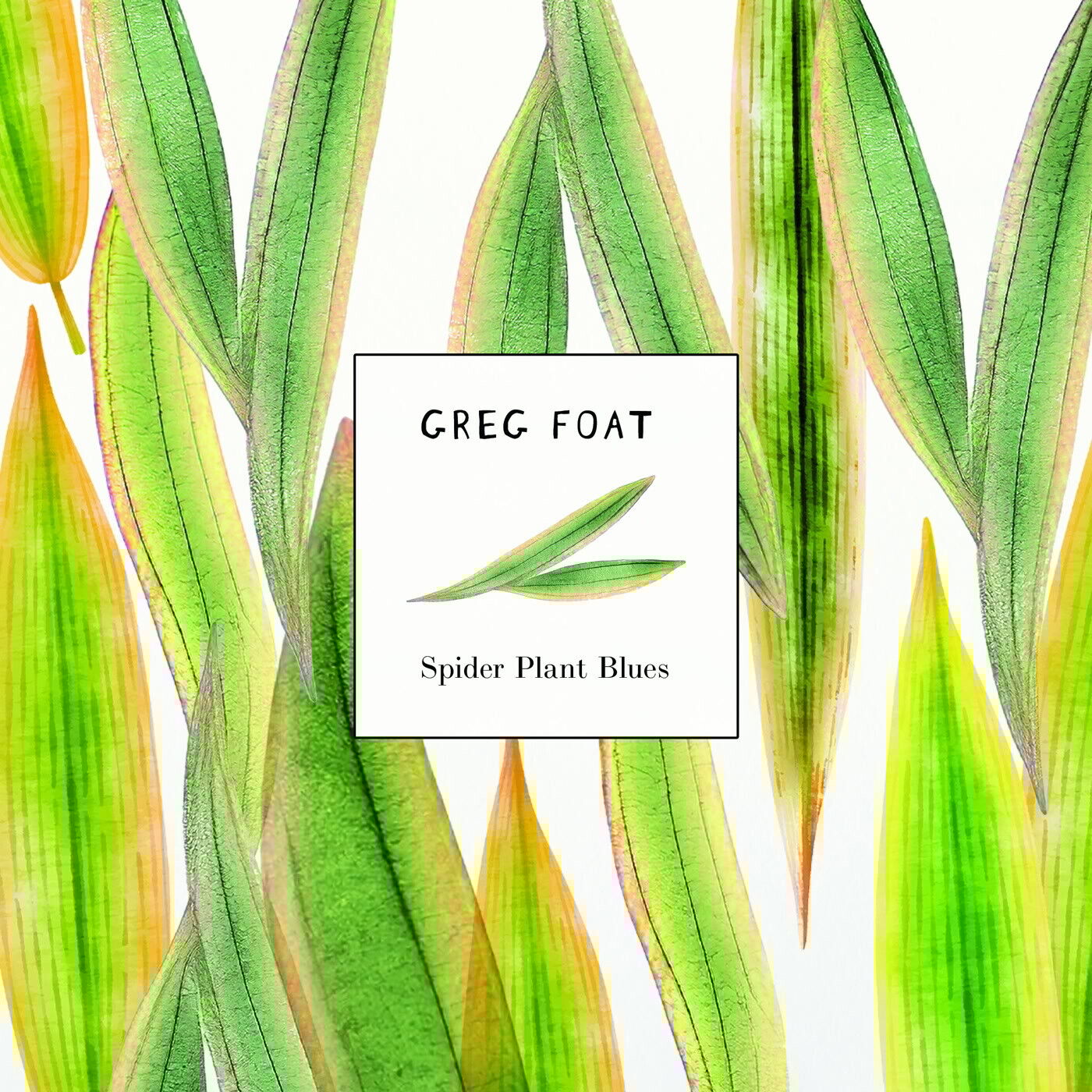 Greg Foat Spider Plant Blues (Vinyl LP) 7" Single